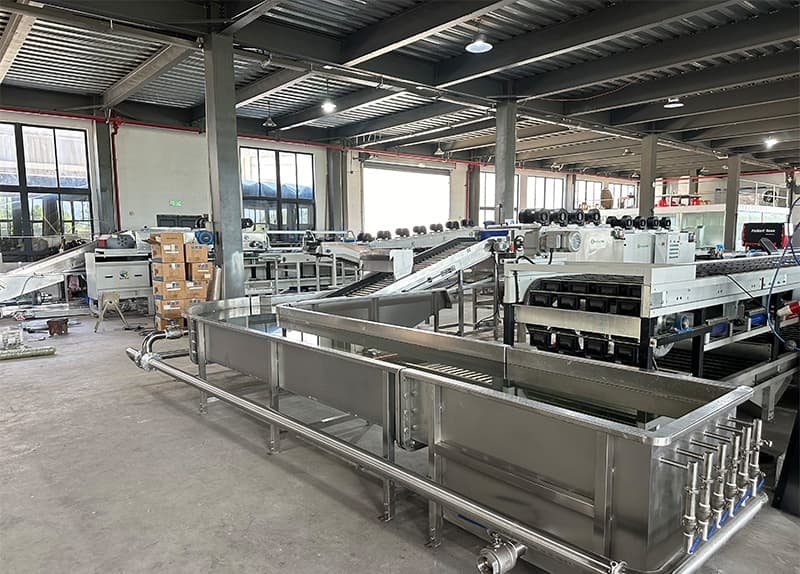 apple washing line.jpg